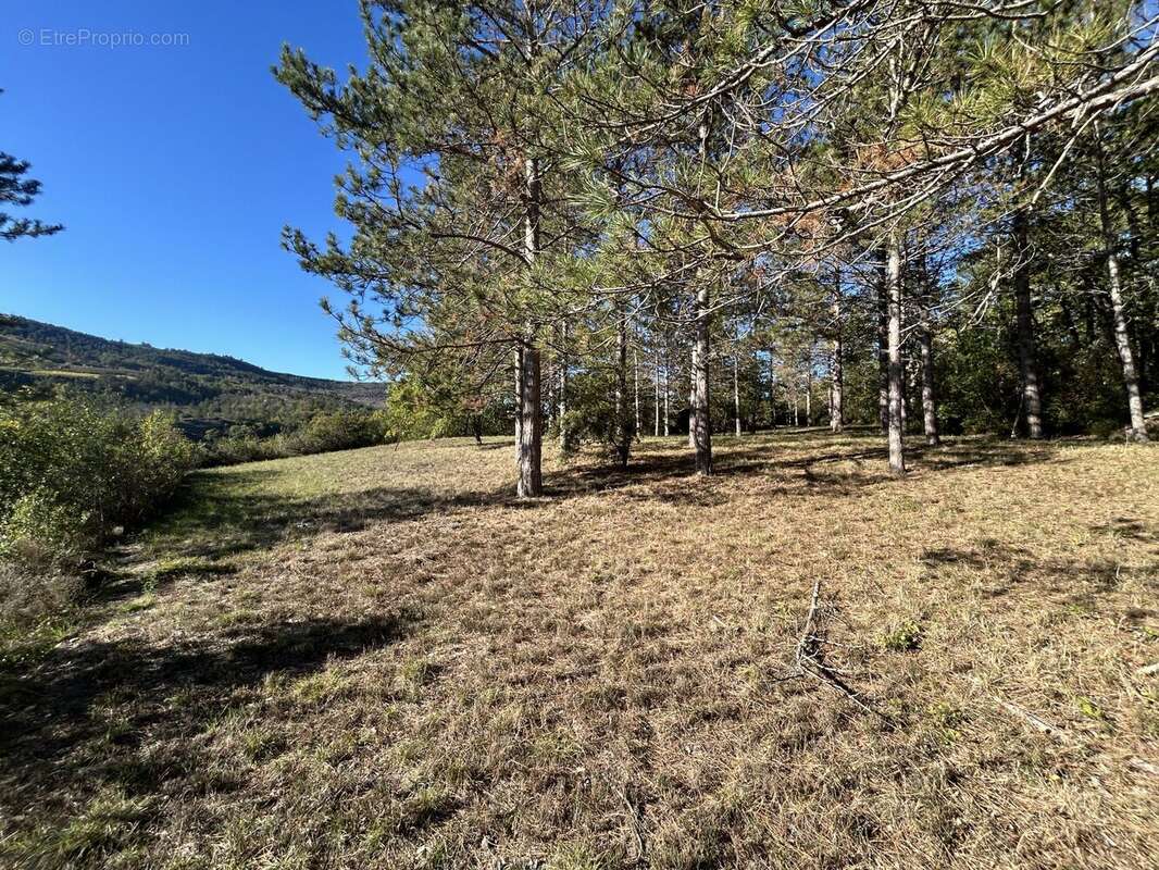 Terrain à LUC-SUR-AUDE