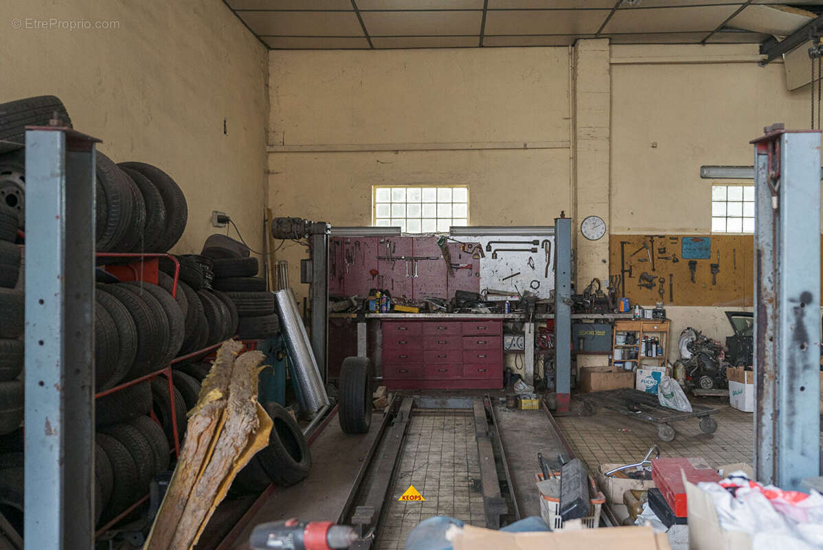 Commerce à CARCASSONNE