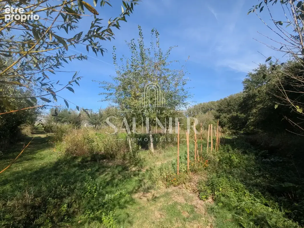 Entre Montrichard et Blois, petit domaine agricole. - photo 6