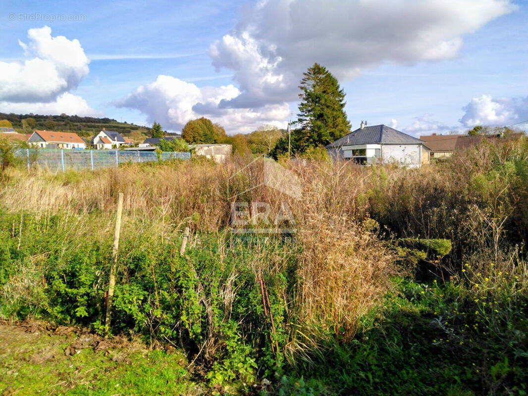Terrain à BELLENGREVILLE