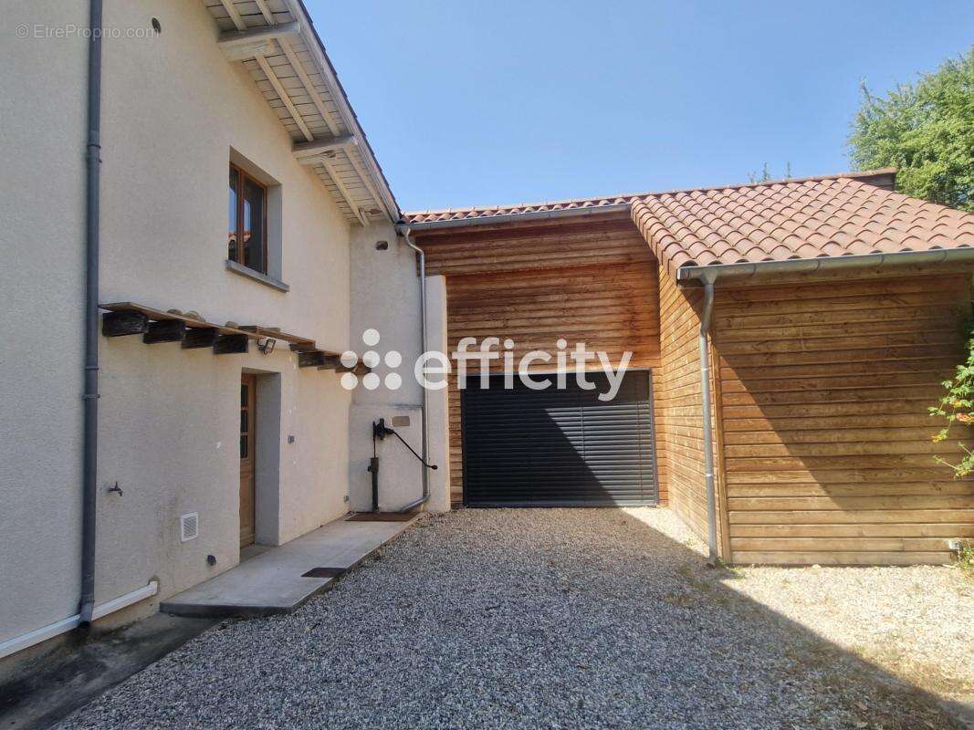 Maison 257 m² à Vernioz  - photo 3
