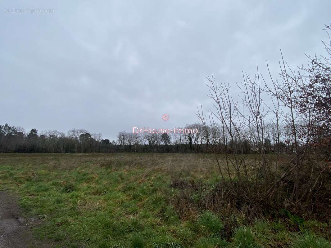 Terrain à SAINT-MEDARD-EN-JALLES