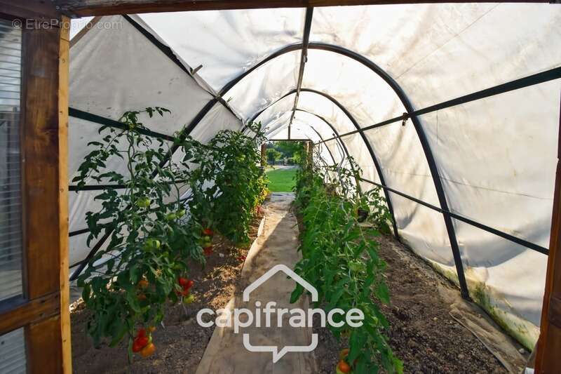 Maison à PIERRE-DE-BRESSE