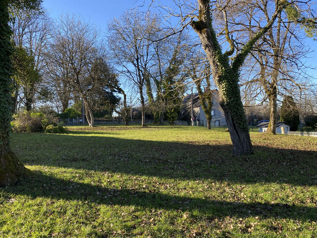 Terrain à ARNAC-POMPADOUR