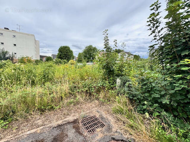 Terrain à VENDRE - photo 6