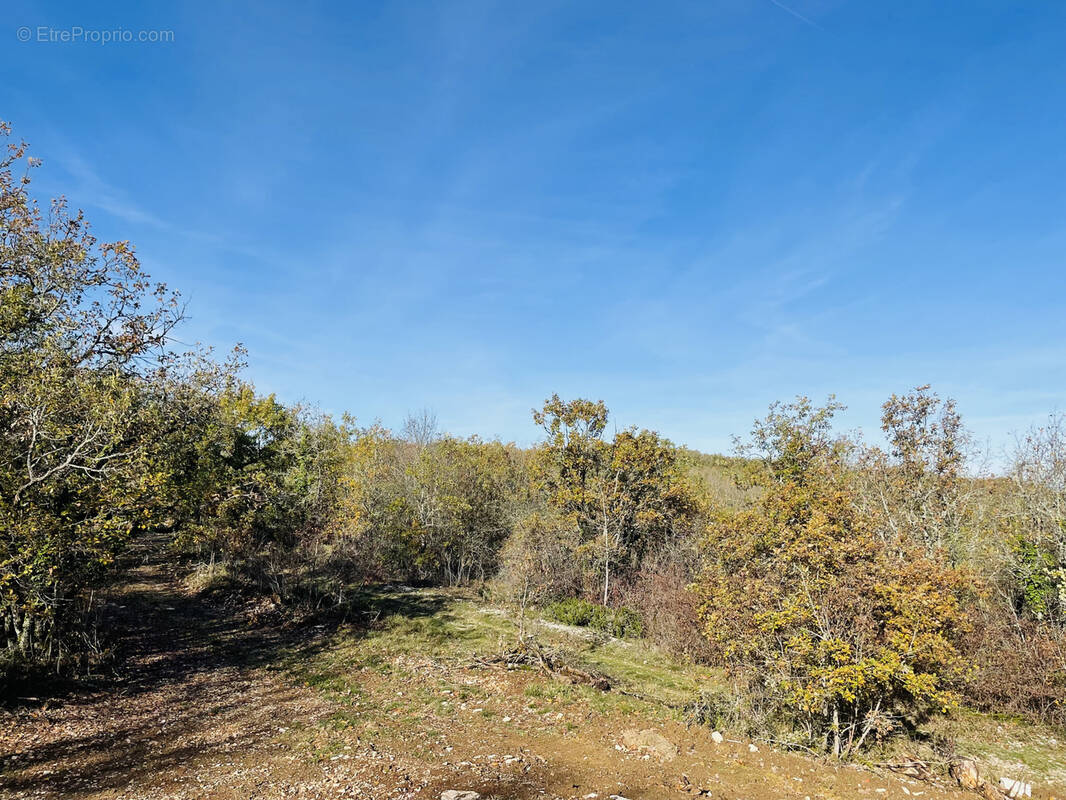 Terrain à SAINT-CERNIN-DE-LARCHE