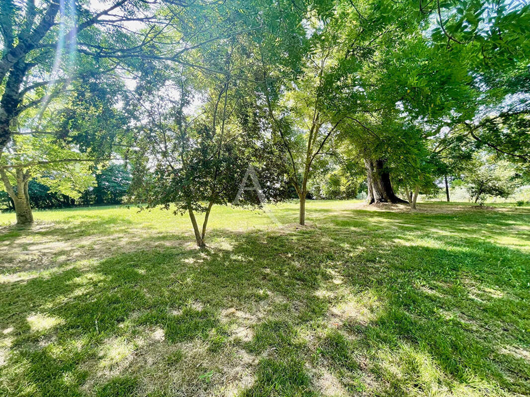 Maison à L&#039;ISLE-JOURDAIN