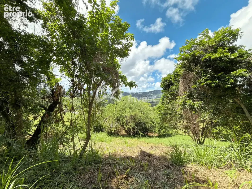 Terrain 973 m² à vendre à Le Vauclin (97280) - photo 4