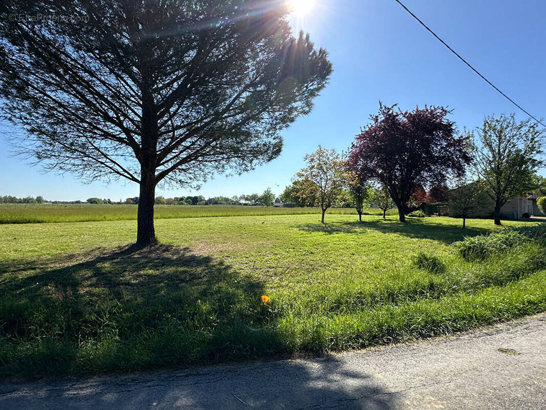 Terrain à GAILLAC