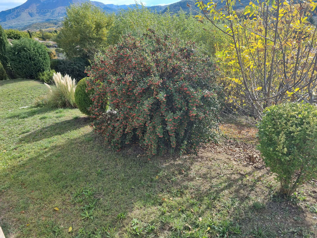 Maison à MALLEMOISSON