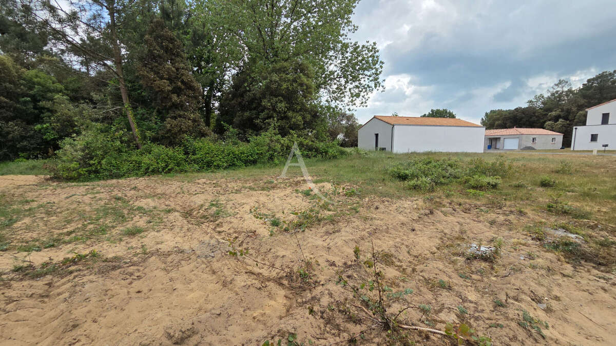 Terrain à SAINT-HILAIRE-DE-RIEZ