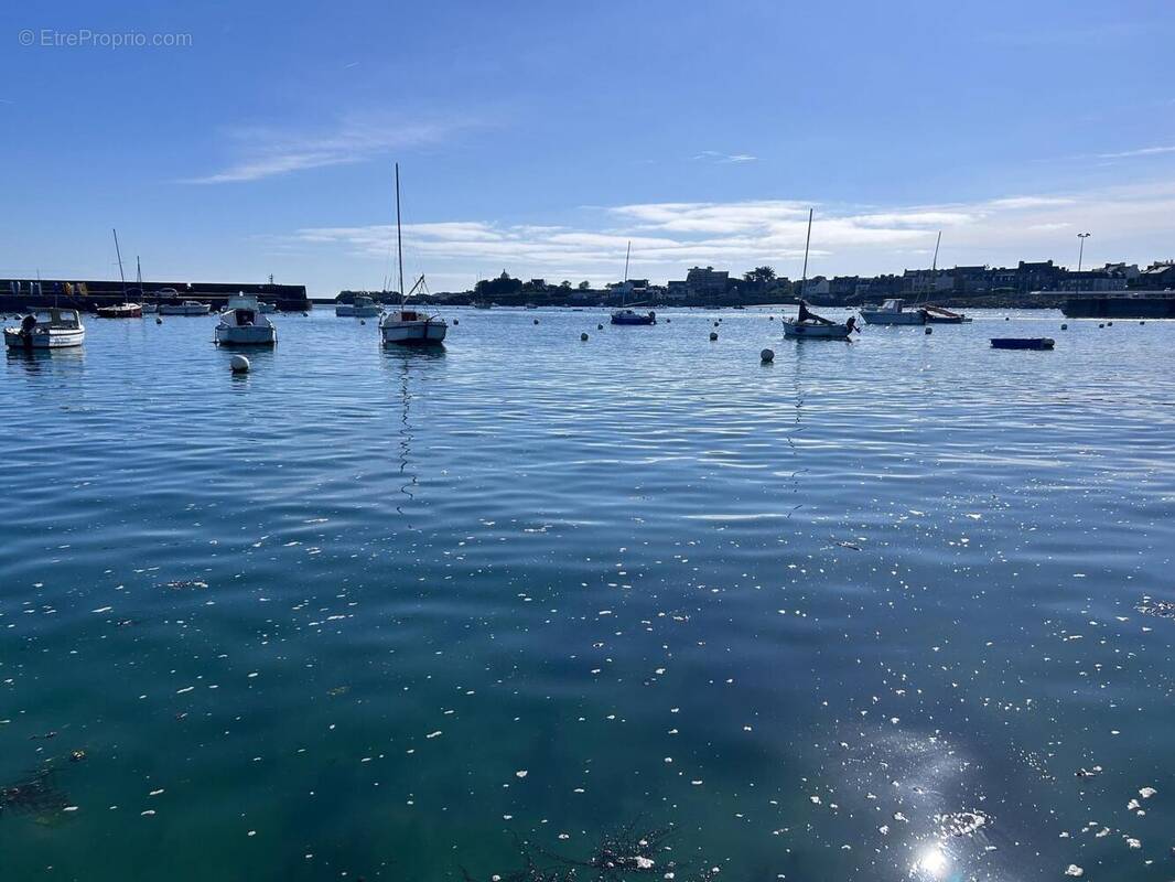 Photo 1 - Terrain à ROSCOFF