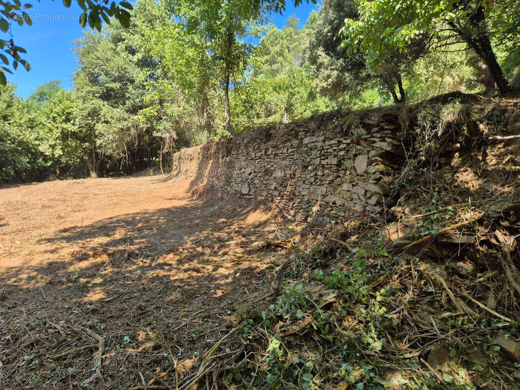 Terrain à vendre  LE COLLET DE DEZE (48) - photo 5