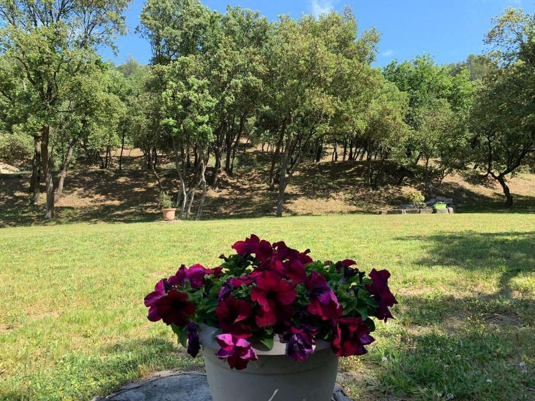 Photo 3 - Maison à AVIGNON