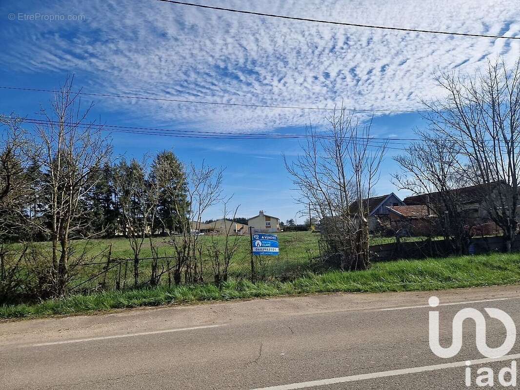 Photo 3 - Terrain à SELONGEY
