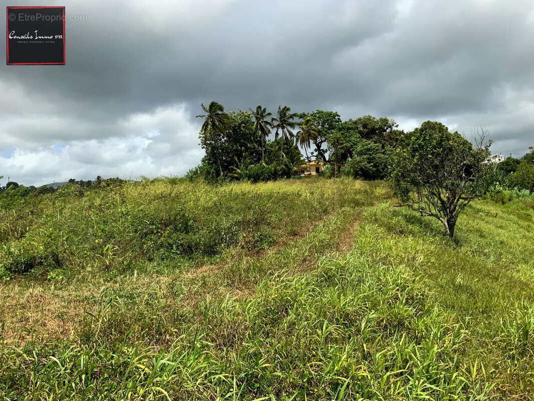 Terrain à SAINTE-MARIE