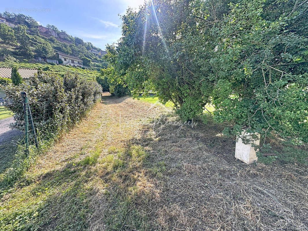 Terrain à CAMARES