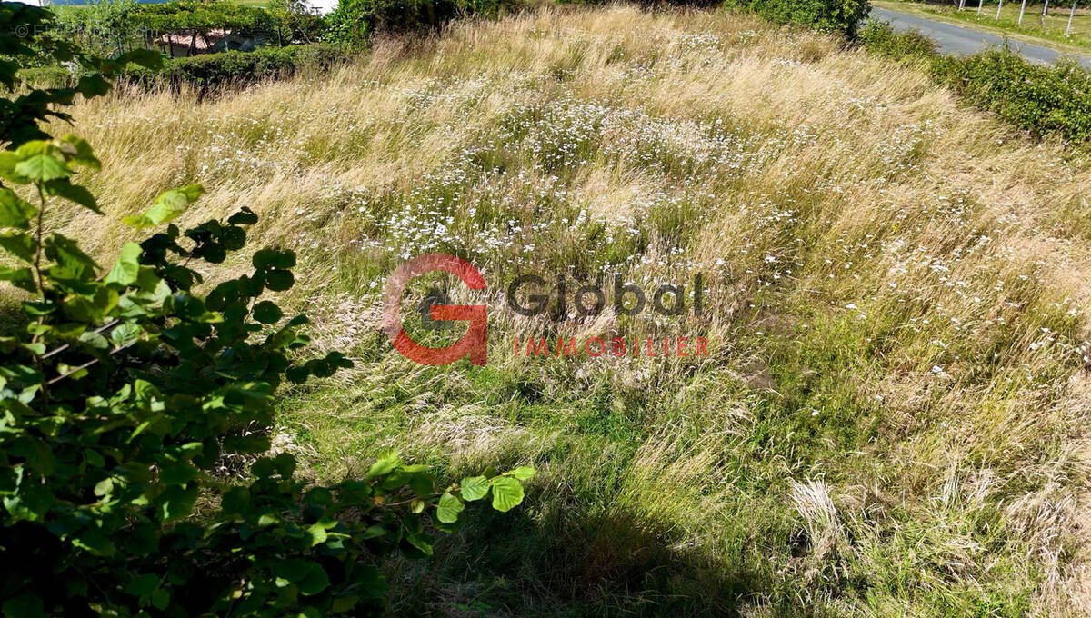 Terrain à LA CHAPELLE-BATON