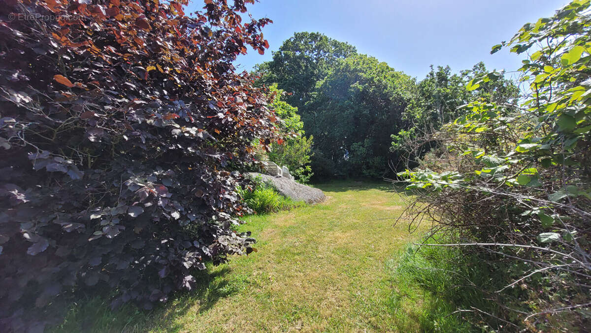 EXCLUSIVITÉ AGENCE DU QUAI - Terrain Trégunc - Centre Ville -  990 m2 - photo 4