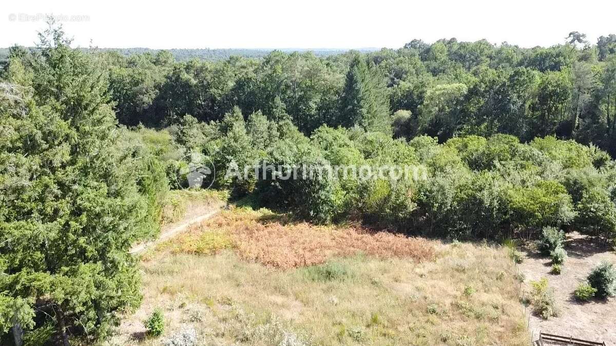Terrain à bâtir 2921 m² - photo 5