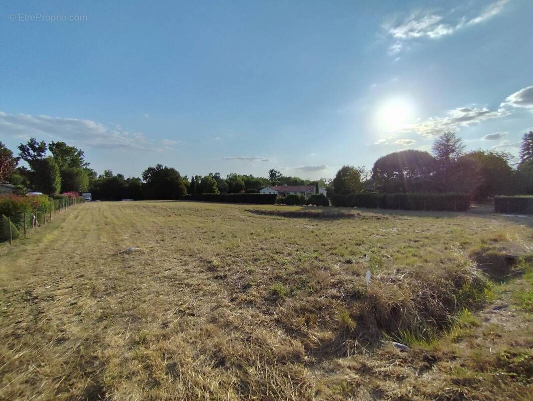Terrain à SAINT-GEORGES-ANTIGNAC
