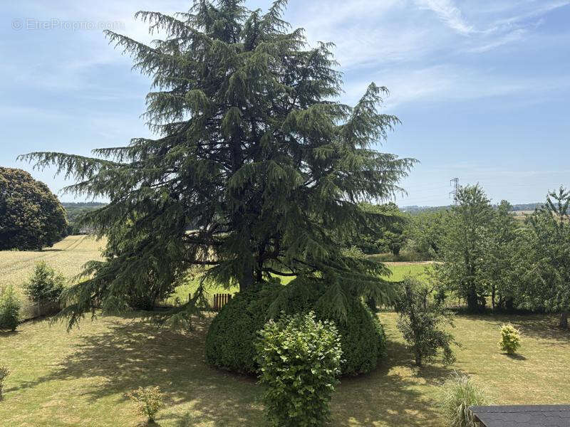 Proche Pompadour - photo 21