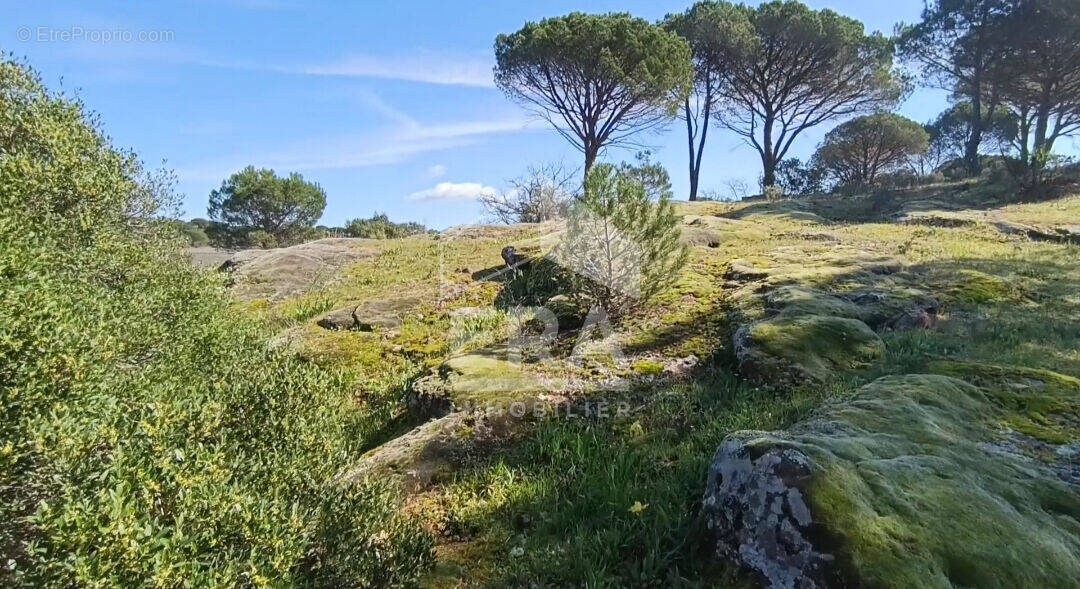 Terrain à VIDAUBAN