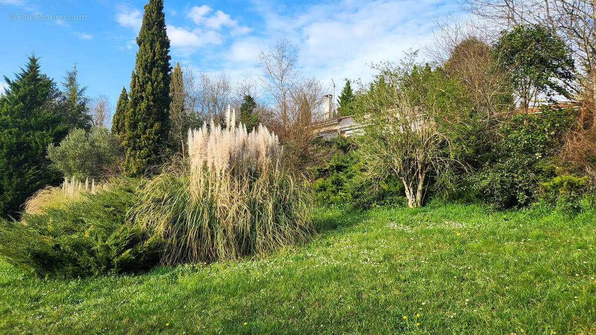 Maison à SAINT-ROMAIN-LA-VIRVEE