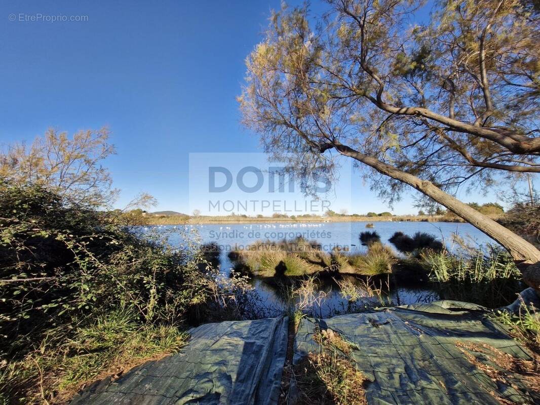 Maison à VIC-LA-GARDIOLE