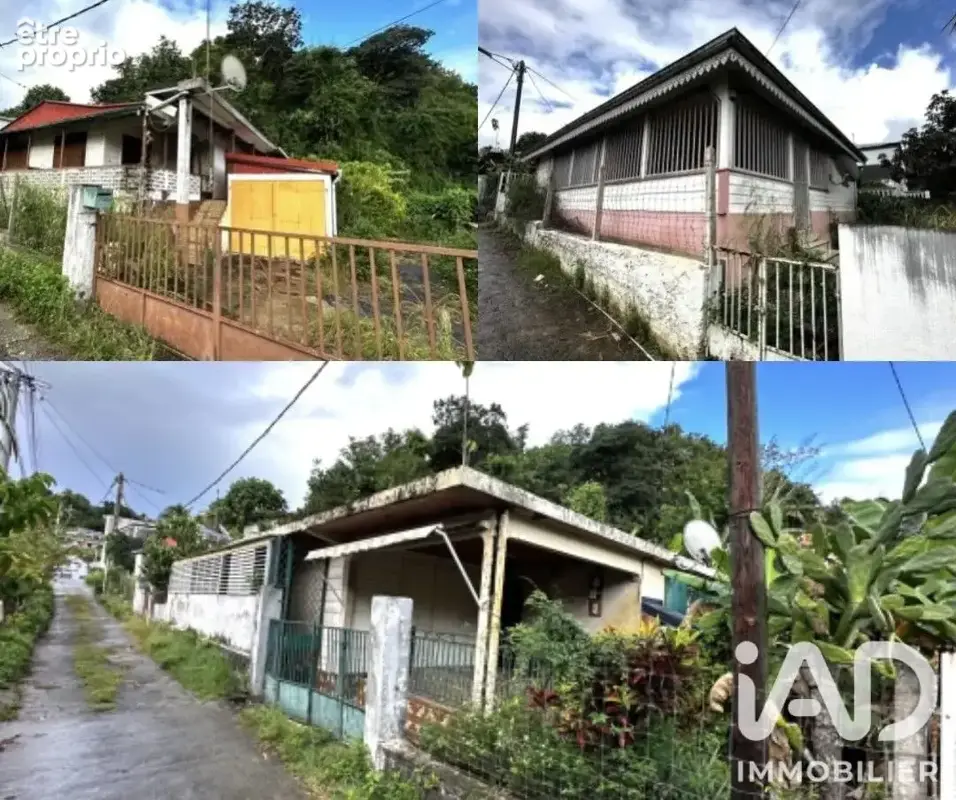 Photo 1 - Maison à LES ABYMES