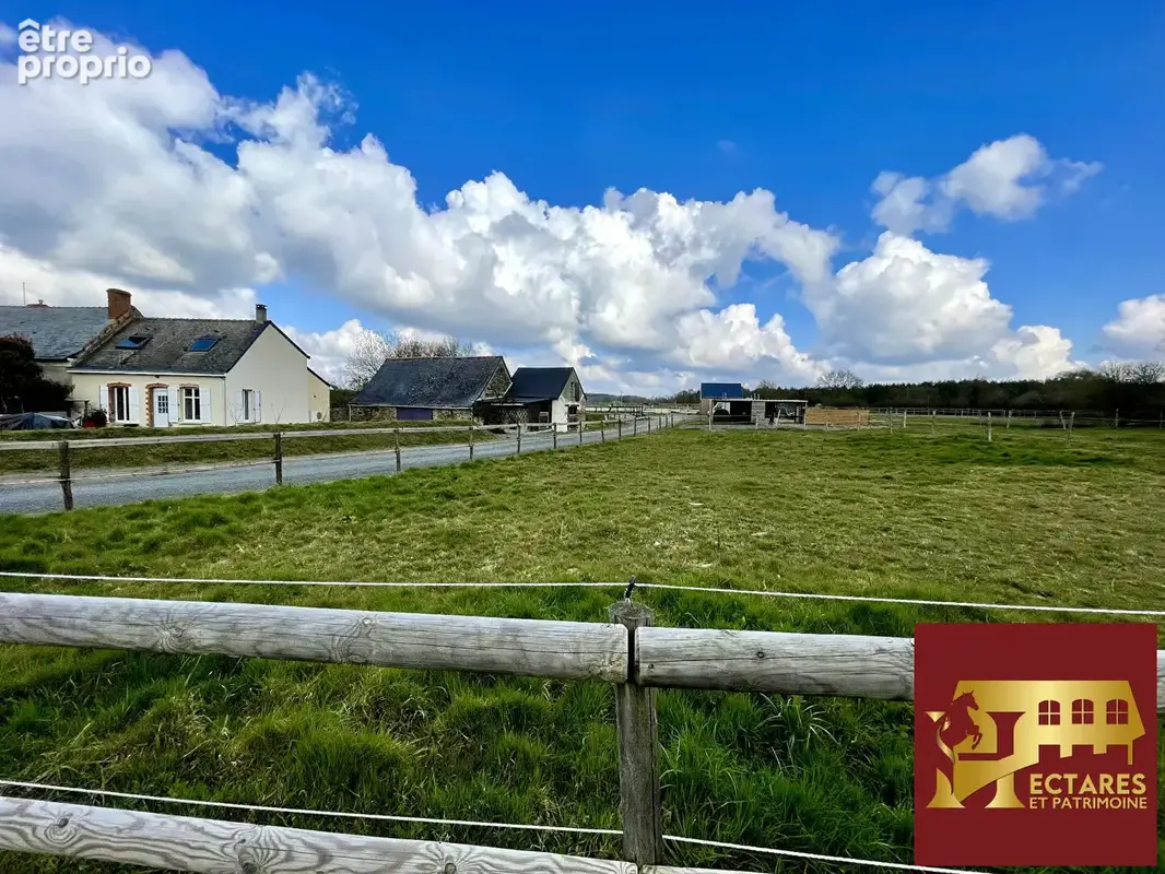 Maison 97 m2, 4,5 hectares - photo 6
