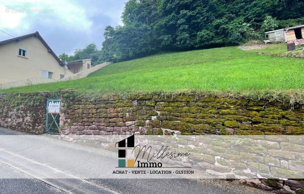 Terrain à WALSCHEID