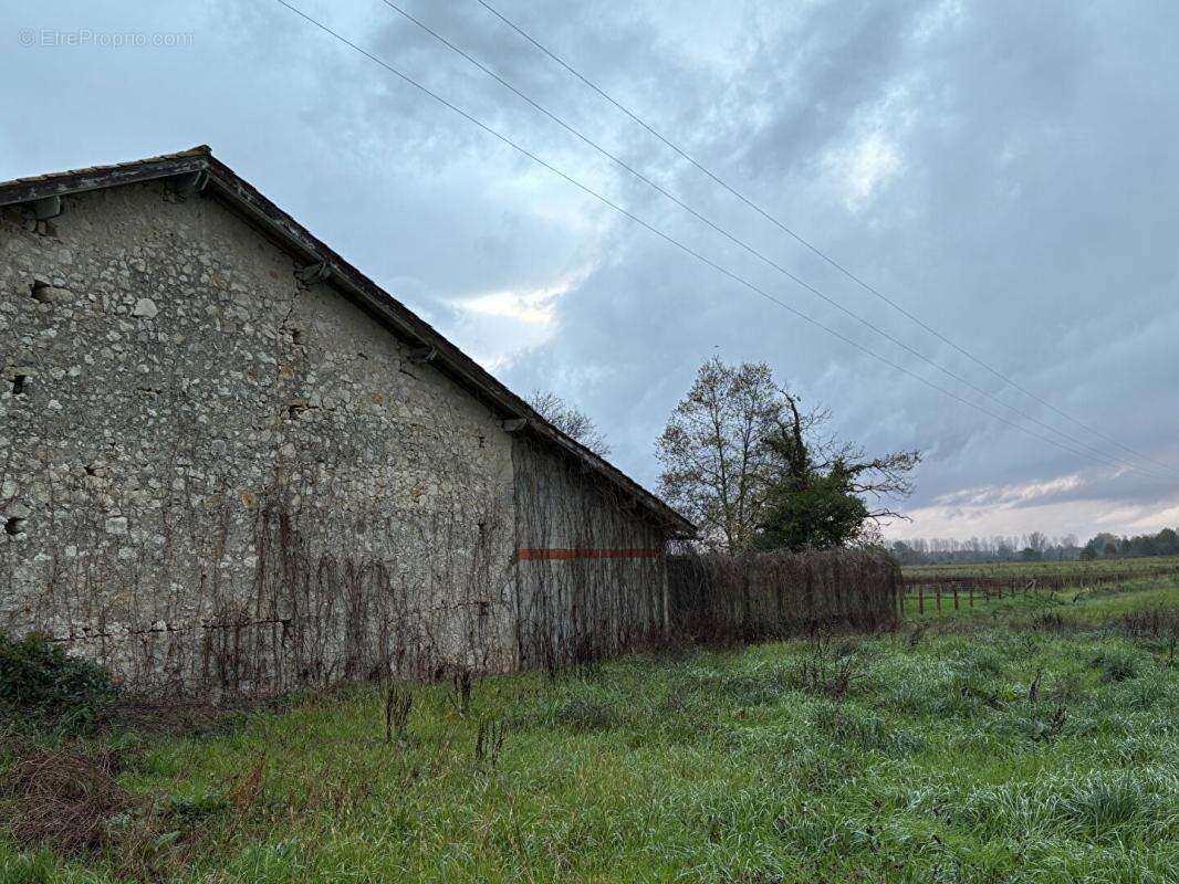 Ancienne ferme girondine à fort potentiel, Pessac sur Dordogne 185 m2 dépendances 300 m2 - photo 5