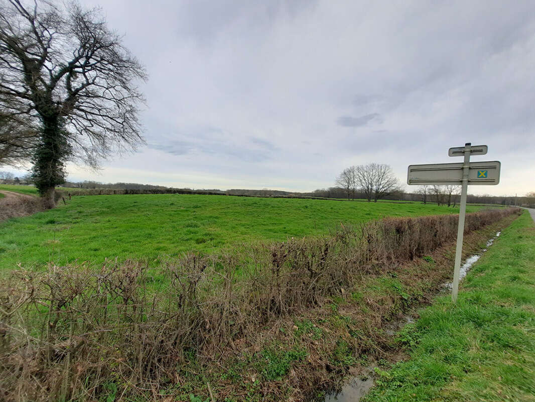 Terrain à MONTREVEL-EN-BRESSE