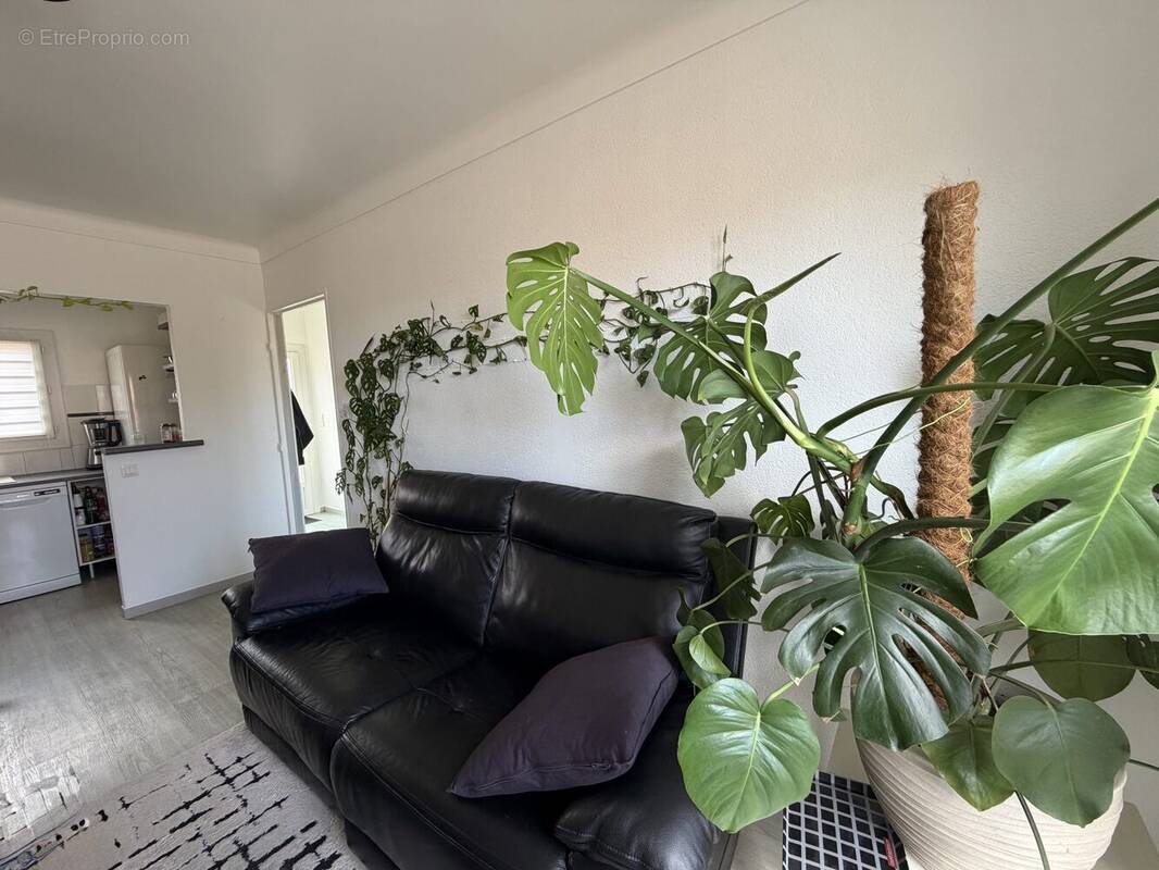 Appartement 38 m² à Canet-En-Roussillon  - photo 3
