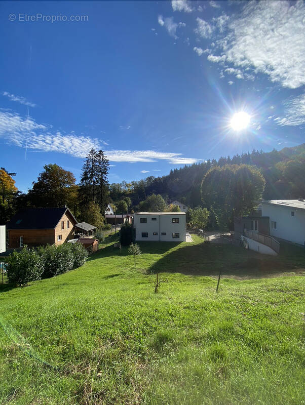 Terrain à STEINBACH