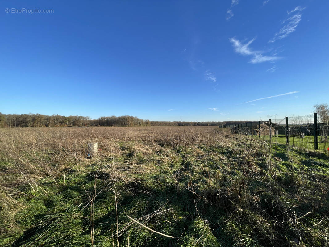 Terrain à REUILLY