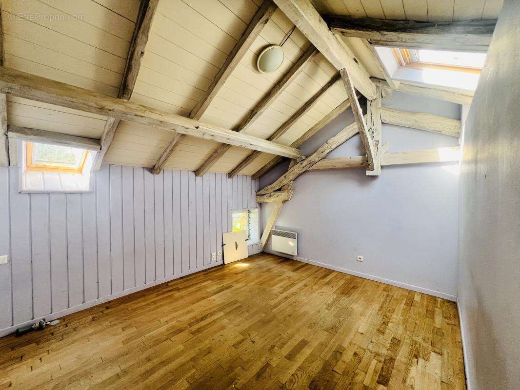 Maison 450 m² à Mezieres-Sur-Issoire  - photo 7