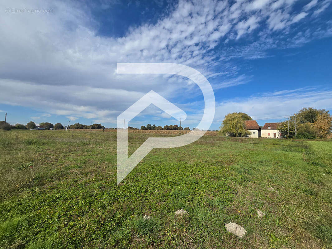 Terrain à HAGETAUBIN
