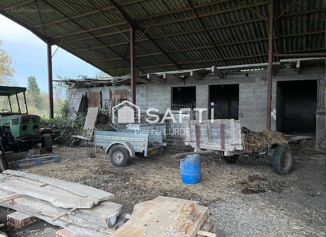 Photo 4 - Maison à MONTAUBAN