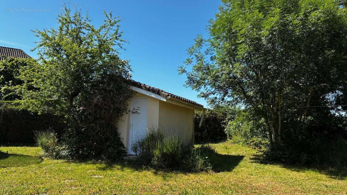 Photo 4 - Maison à MONTBAZENS
