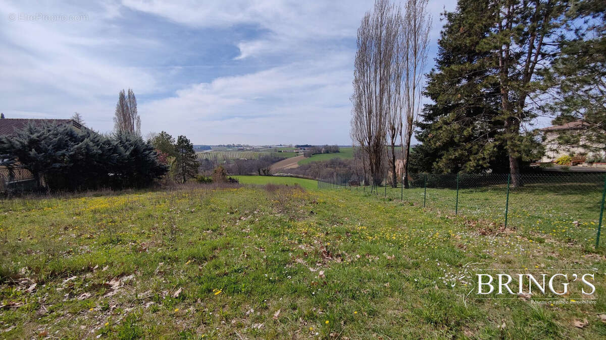 Terrain à MOISSAC