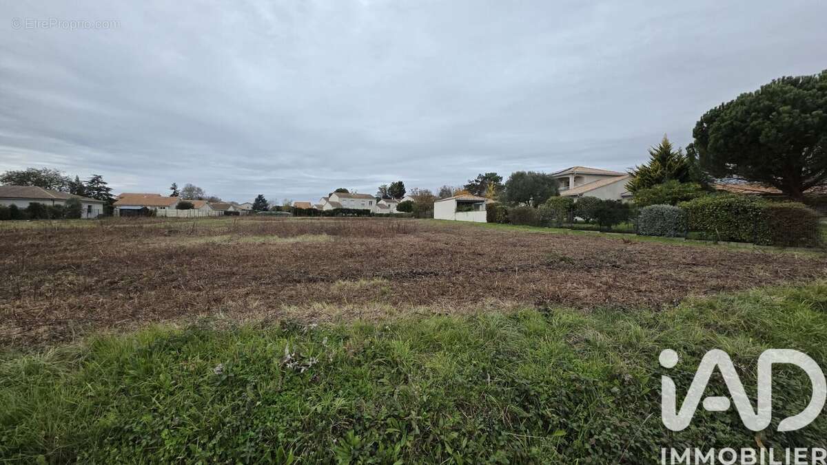 Photo 8 - Terrain à PLASSAC