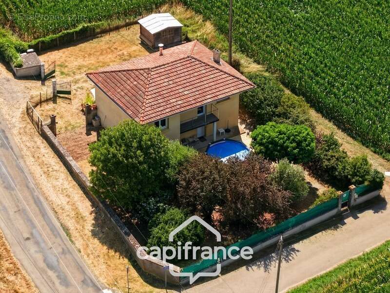 Chanas – Une maison familiale au cœur d'un environnement naturel privilégié composé de 6 pièces - photo 5