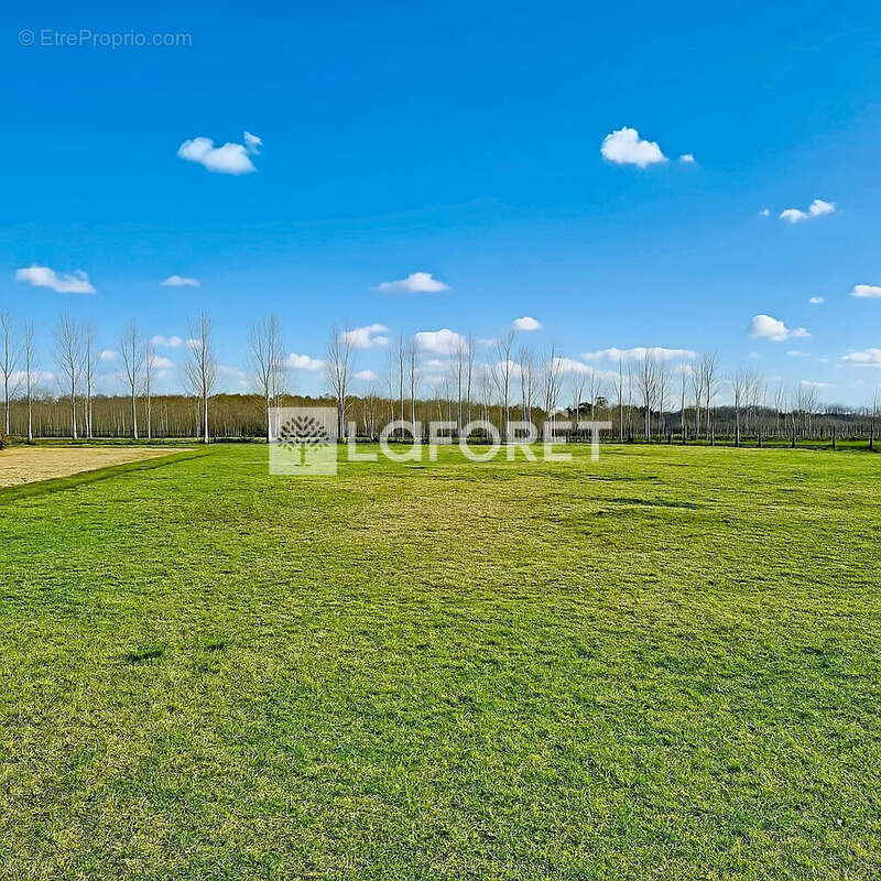Terrain constructible 2132m2 - photo 2