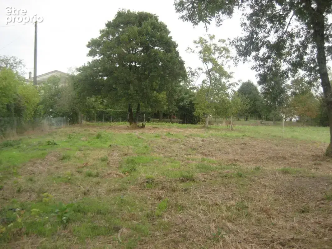 Terrain 1 398 m² à vendre à Beguey (33410) - photo 2