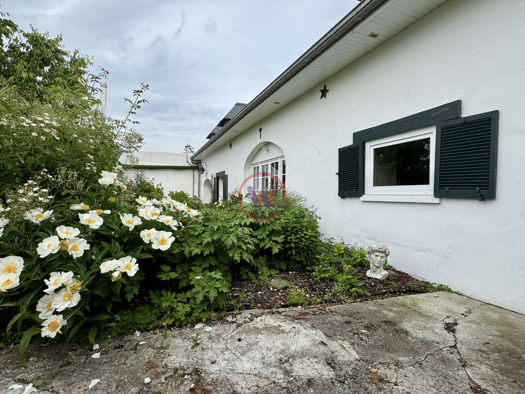 Maison à DAINVILLE