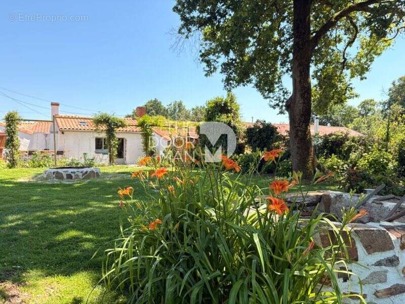 Maison 44710 - photo 4