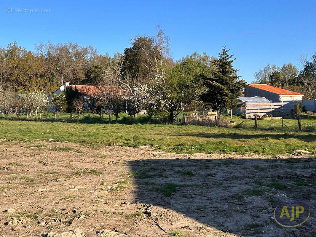 Terrain à TALMONT-SAINT-HILAIRE