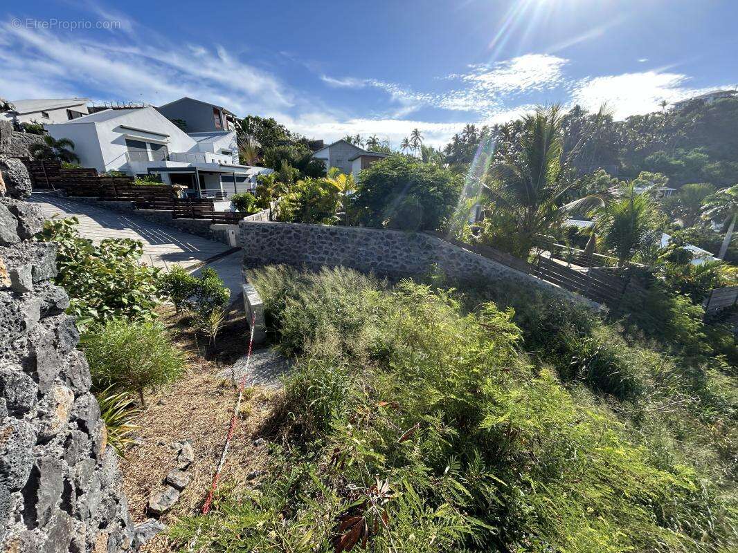 Terrain à SAINT-PAUL